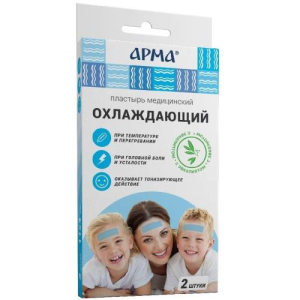 Арма пластырь №2 мед. охлаждающий с эвкалиптом 11х4см