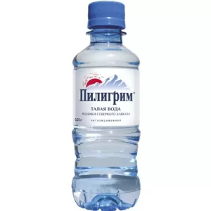 Пилигрим вода питьевая 250мл №8 без газа