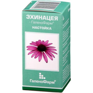 Эхинацеи пурпурной трава настойка 50мл Эхинацеи пурпурной трава настойка 50мл