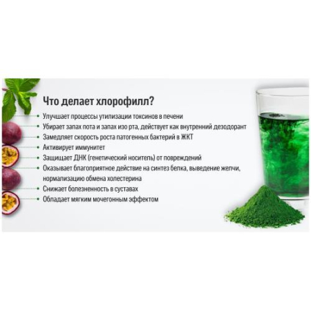 Хлорофилл жидкость для внутреннего применения 500мл мята